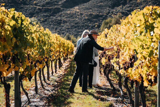 Farm & Wine Experience Fun Experience from Queenstown New Zealand - A Detailed Look at the Farm & Wine Experience from Queenstown
