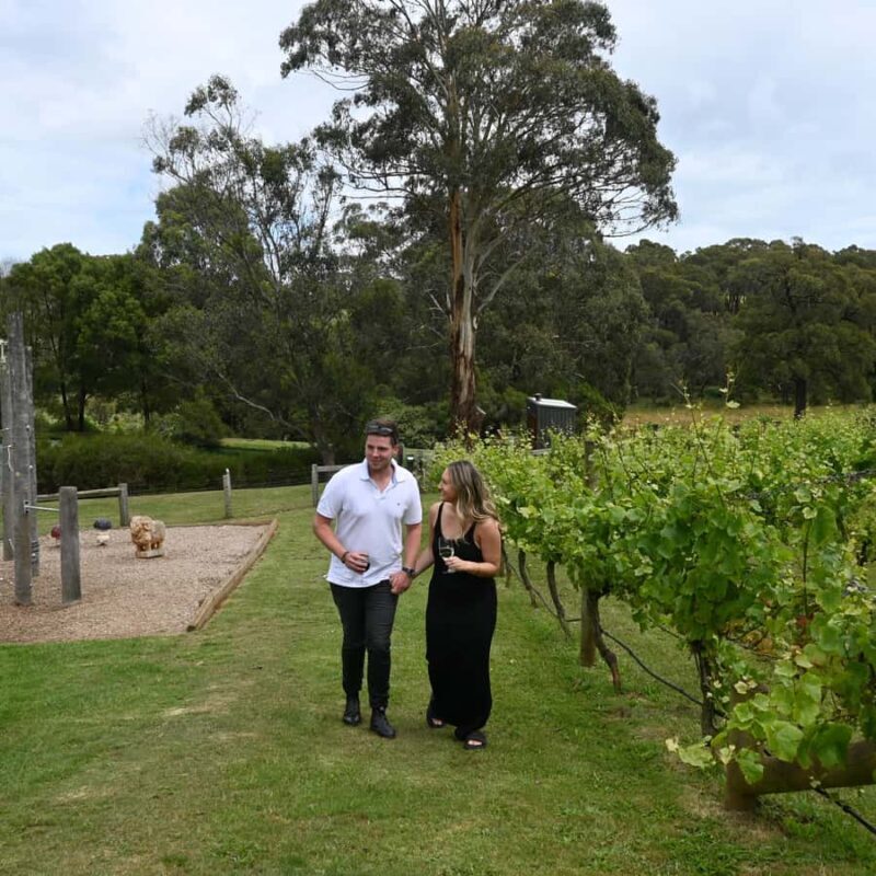 Farmers Lunch - Food and Wine for 2 - The Sum Up