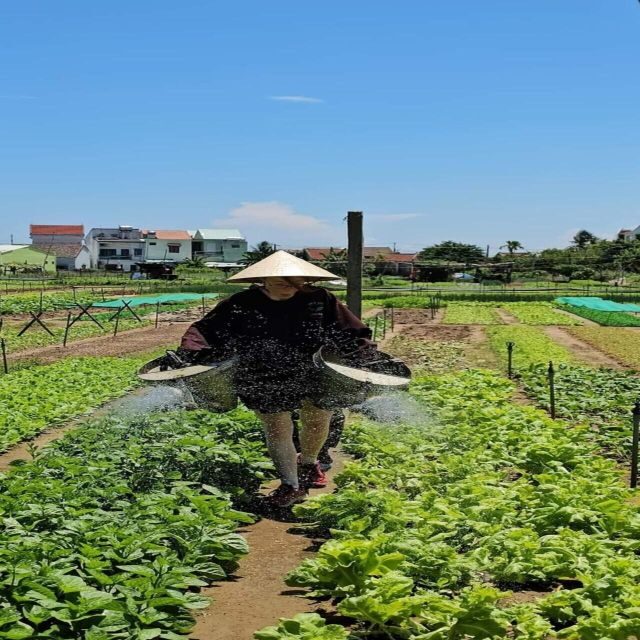 Farming - Local Market - Cooking Class In Tra Que Vegetable - Summary: Who Will Love This Tour?