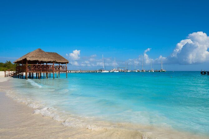 Fascinating beach club at Riviera Maya, full day pass with transport included - The Beach Club: The Heart of the Experience