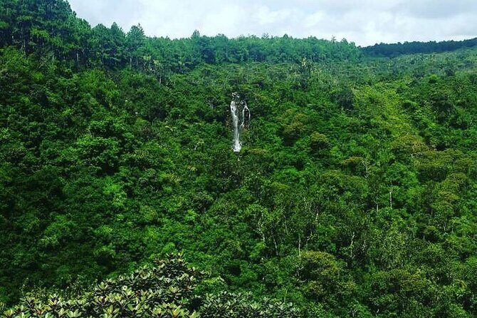 Fascinating Nature Tour Incl Ebony Forest, 7 Coloured Earth,Lunch - Why Choose the Fascinating Nature Tour?