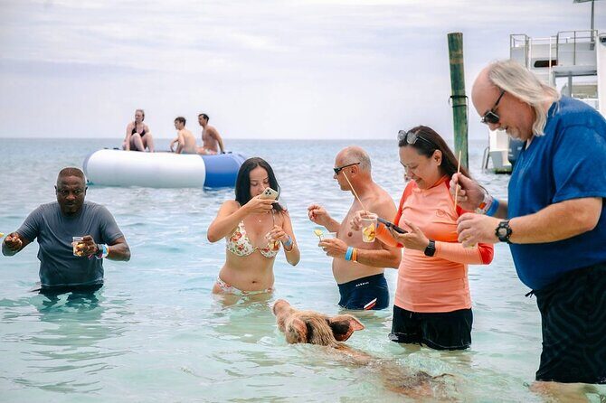 Fast Track Swimming Pigs Encounter - How the Tour Begins: Scenic Boat Ride and Landmarks