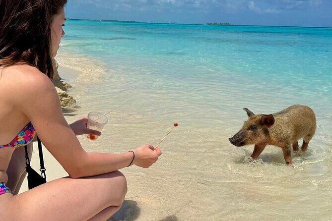 Fast Track Swimming Pigs Encounter - The Scenery and Beach Time