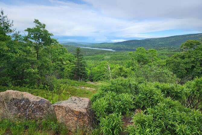 Fat Tire E-Bike Rental in Bar Harbor - Who Will Love This Experience?