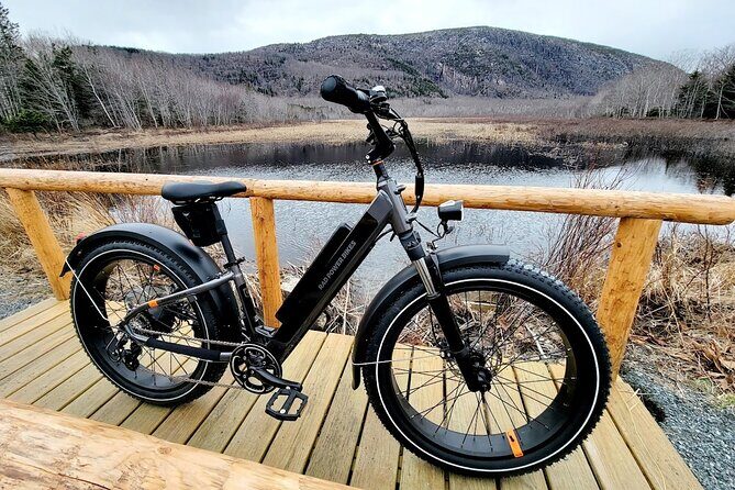 Fat Tire E-Bike Rental in Bar Harbor - The Sum Up: Is It Worth It?