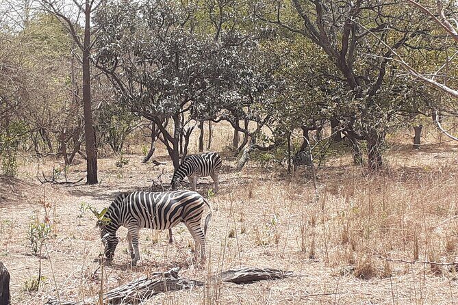 Fathala Wildlife Park - Key Points