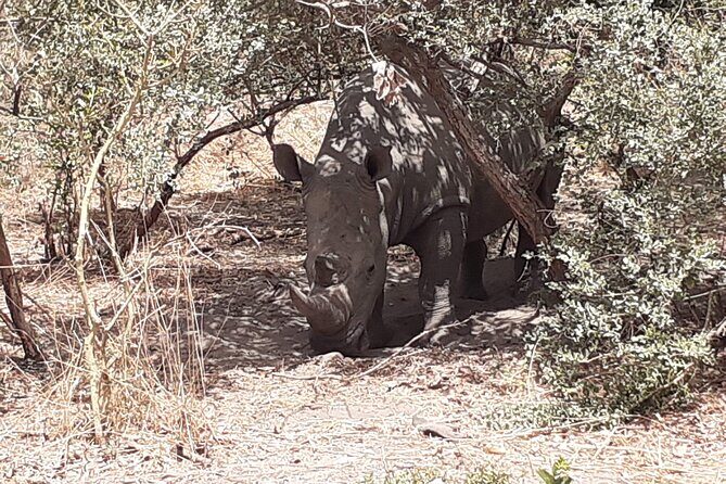 Fathala Wildlife Park - FAQs