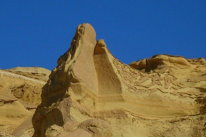 Fayoum Full Day Private Guided Tour from Cairo - Discovering Fayoum: What to Expect