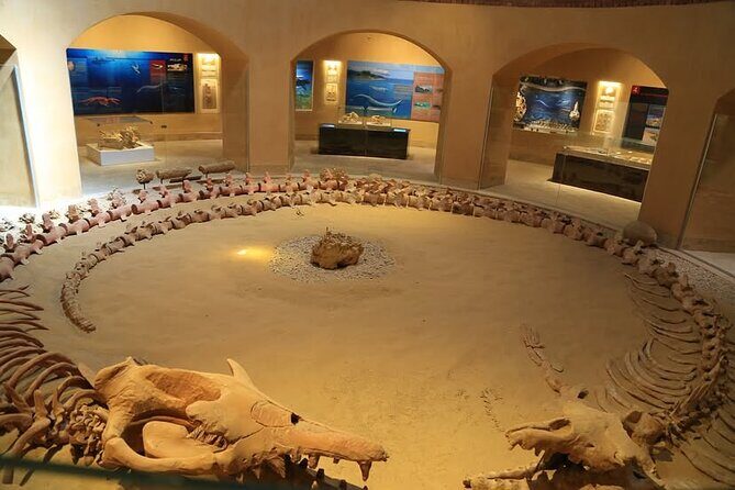 Fayoum Oasis Safari 4×4 Wadi El Rayan & Valley of the whales - A Deep Dive into the Fayoum Oasis Safari