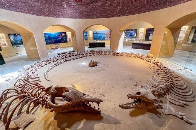 Fayoum Oasis Tour Hidden Gem Wadi El Rayan & Valley of the Whales - An Introduction to the Fayoum Oasis Tour