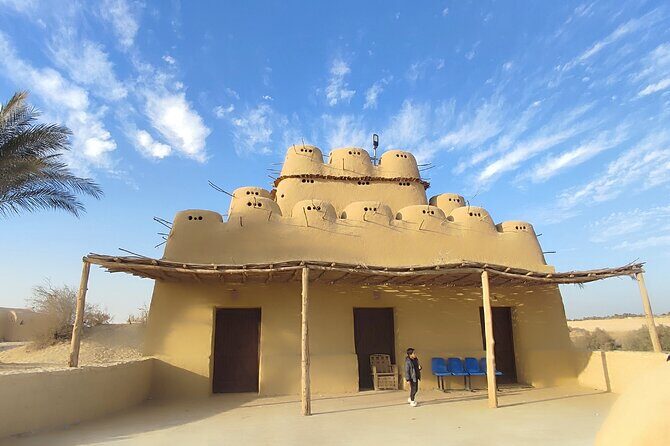 Fayoum Oasis Tour Hidden Gem Wadi El Rayan & Valley of the Whales - The Experience: What Travelers Say