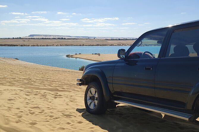 Fayoum Oasis Tour Hidden Gem Wadi El Rayan & Valley of the Whales - Who Should Consider This Tour?