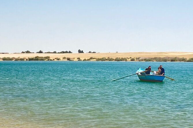 Fayoum Oasis Tour Hidden Gem Wadi El Rayan & Valley of the Whales - The Sum Up: Who Will Love This Tour?