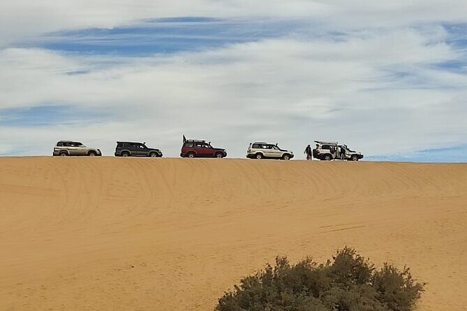 Fayoum Oasis Tour Hidden Gem Wadi El Rayan & Valley of the Whales - Frequently Asked Questions