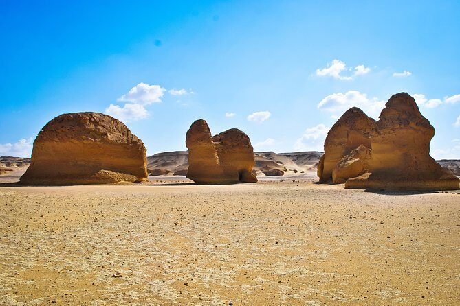 Fayoum Oasis Tour to Karanis, Qarun Lake, Wadi El Rian Waterfalls - What Makes This Tour Stand Out