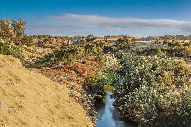Fayoum Oasis Tour to Karanis, Qarun Lake, Wadi El Rian Waterfalls - Transportation and Comfort