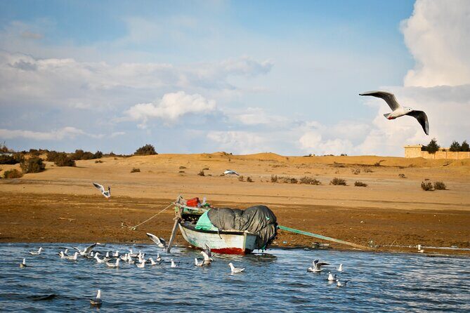 Fayoum Oasis Tour to Karanis, Qarun Lake, Wadi El Rian Waterfalls - The Sum Up