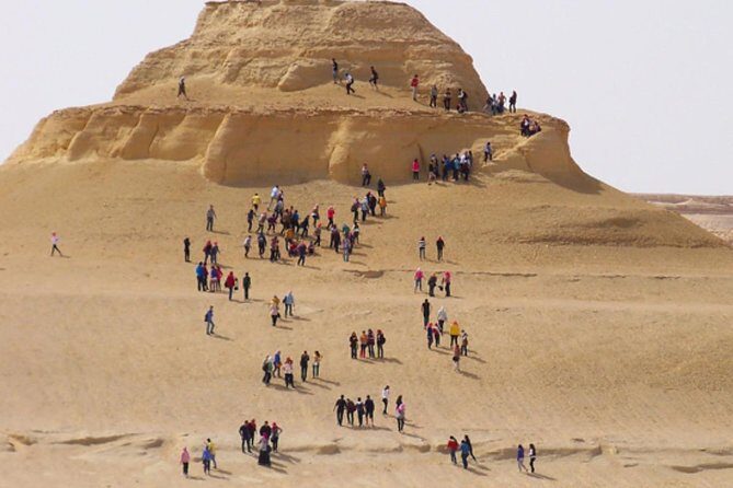 Fayoum Oasis & Wadi Al Rian Day Tour from Cairo - Who Will Love This Tour?