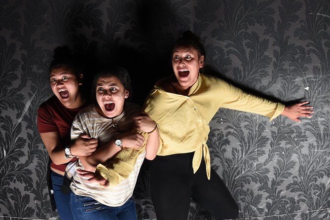 Fear Factory Queenstown - The Experience: What You Can Expect