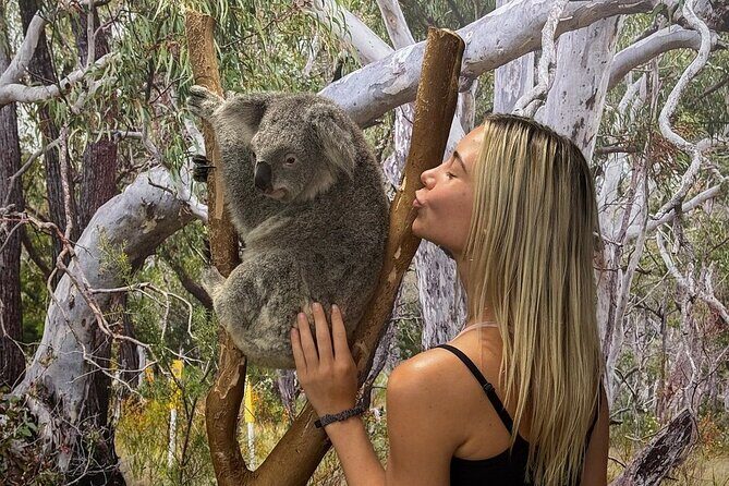 Featherdale Wildlife Park with Exclusive Private Transfers - Key Points