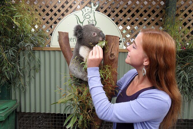 Featherdale Wildlife Park with Exclusive Private Transfers - Transportation and Practical Details
