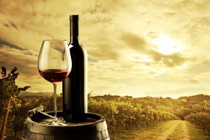 Feed Me Food and Wine Experience in Adelaide - FAQ