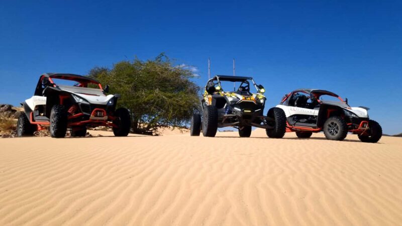 Feel the Power: 1-Hr UTV Dune Driving Experience in Bidiyah - Key Points