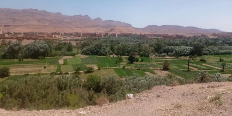 Fes: 2-day desert trip with return to Fez or Marrakech. - FAQ