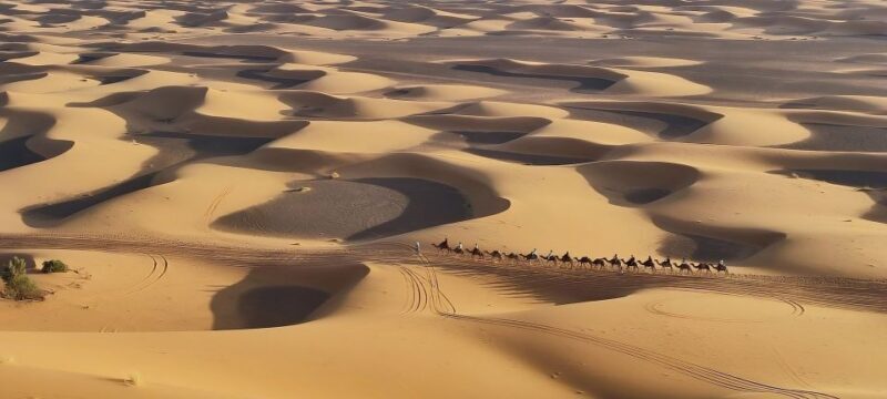 Fès: 2 Days Desert Trip to Merzouga (1 Night), Marrakech - Key Points