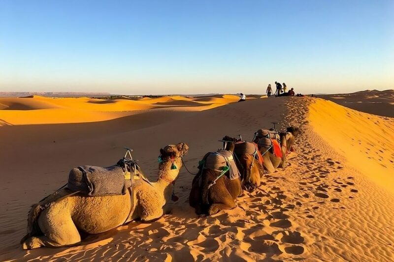 Fès: 2 Days Desert Trip to Merzouga (1 Night), Marrakech - The Itinerary in Detail