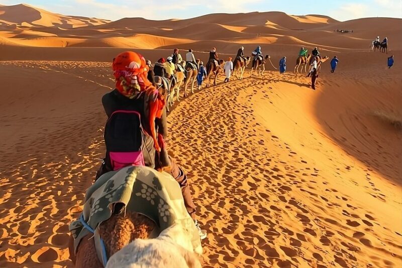 Fès: 2 Days Desert Trip to Merzouga (1 Night), Marrakech - The Sum Up