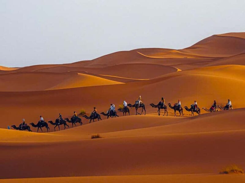 Fes: 3-Day Desert Tour to Agadir via Merzouga Desert - Key Points