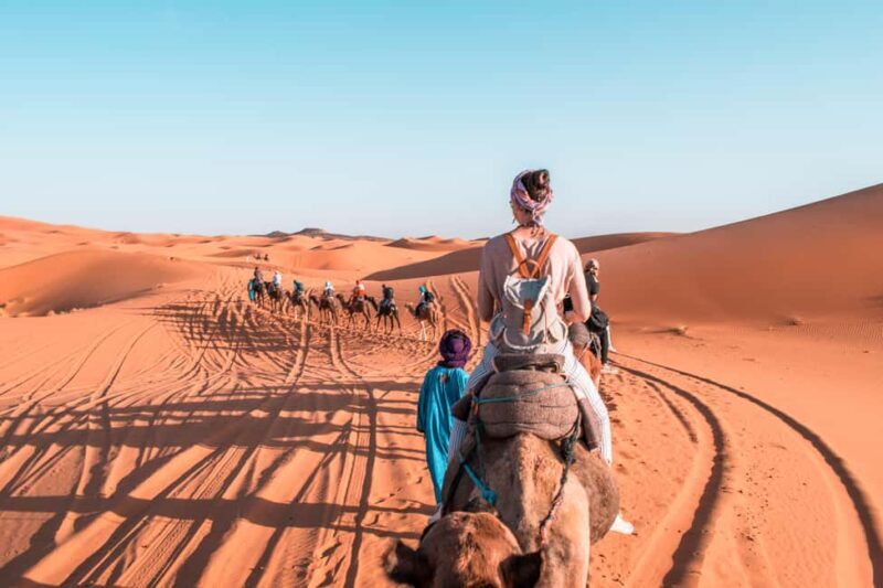 Fes: 3-day Merzouga Desert to Marrakech, Quad & Camel - Starting Point: From Fez into the Middle Atlas