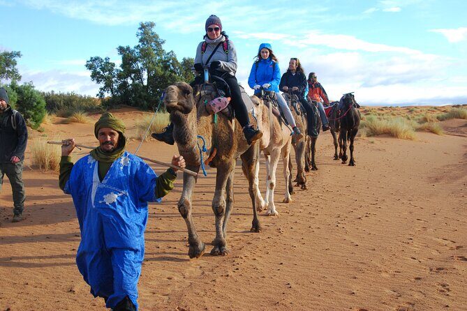fes 3 days desert tour - Who Will Love This Tour?