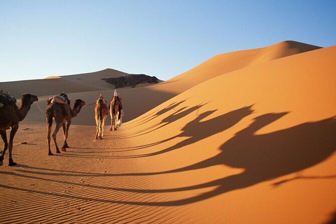 fes 3 days desert tour - FAQ