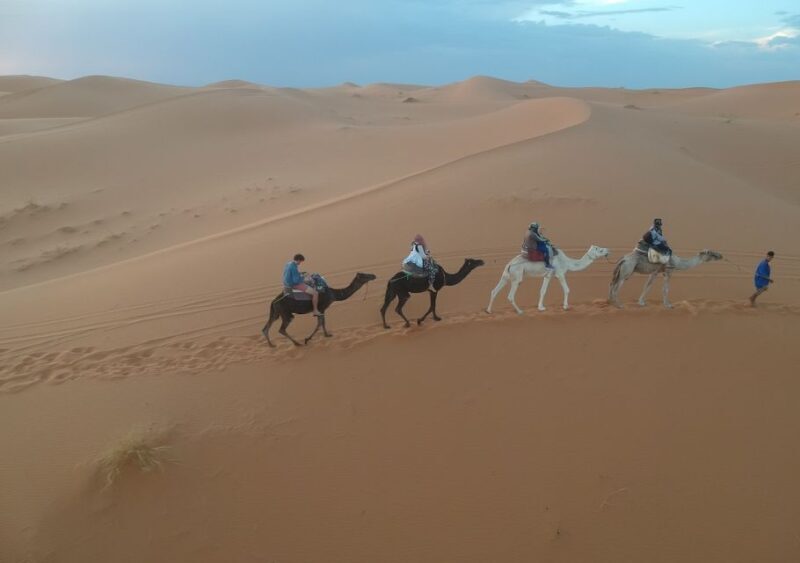 fes desert tour 3 days - Day 2: From Merzouga to Ouarzazate