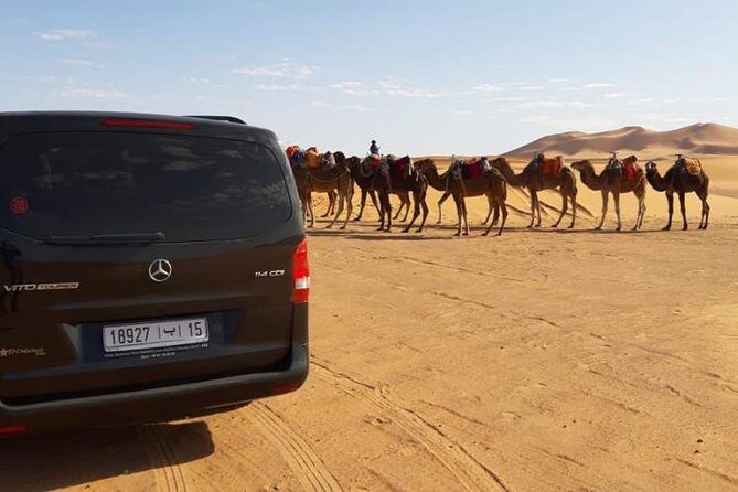 Fes Desert Tour to Luxury Merzouga desert camp and back 2 Days - Who Will Love This Tour?