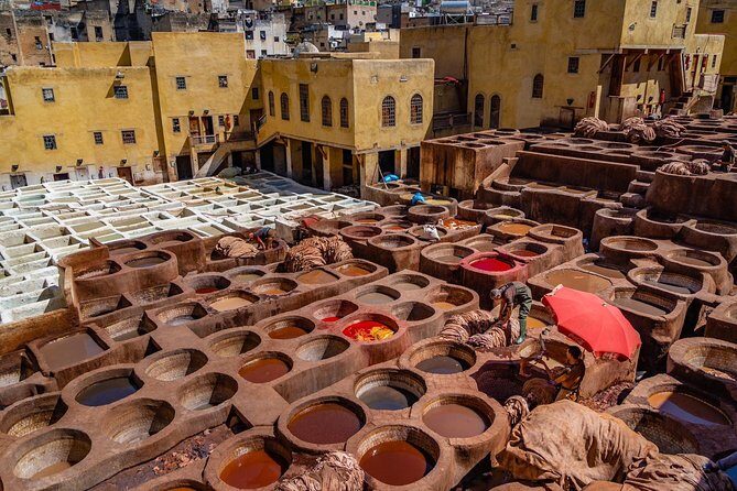 Fes Guided Tours Full Day - How the Tour Adds Value