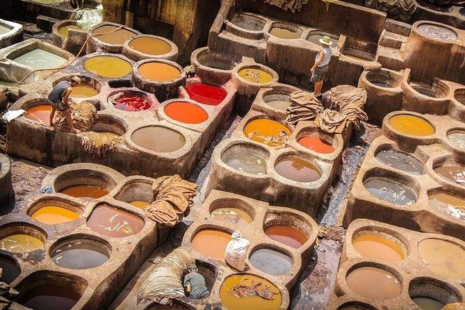 Fes Medina Guided Tour with Luxury Car and All-Inclusive Tickets - Who Should Book This Tour?