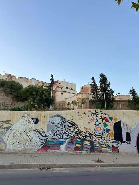 Fes Private Guided Sightseeing Tour - Exploring Fes: What This Tour Offers