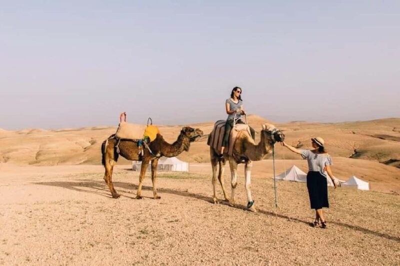 Fes: Quad Biking & Camel Photo Experience with Moroccan Tea - Who Will Love This Tour?