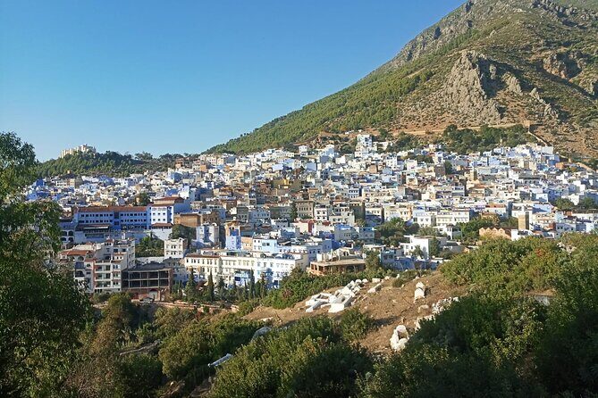 fes to chefchaouen day trip - Authentic Feedback from Travelers