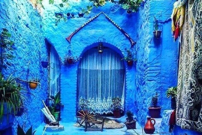 FES TO Chefchaouen Day Trip- luxury Private Tour - What the Tour Includes and What You Should Know