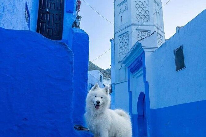 FES TO Chefchaouen Day Trip- luxury Private Tour - FAQ