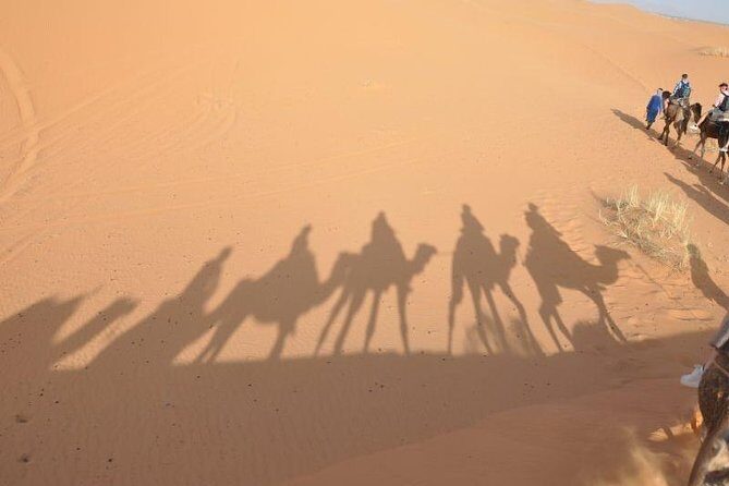 Fes to Fes 2 days via Merzouga desert tour - An Overview of the Itinerary and What to Expect