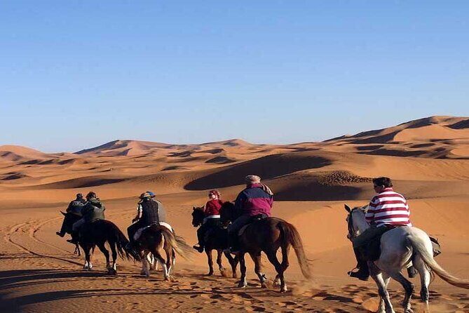 Fes to Fes 2 days via Merzouga desert tour - Transportation, Comfort, and Practicalities