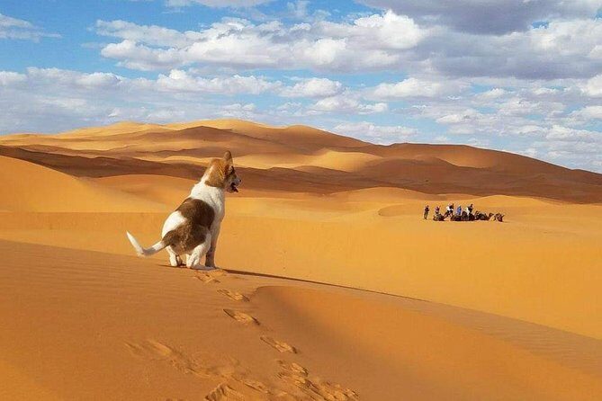 Fes to Fes 3 days Private Desert Tour - Deep Dive into the 3-Day Itinerary