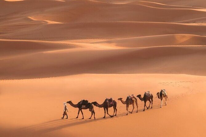 Fes To Marrakech: 3-Day Desert Tour - The Experience: What Sets It Apart