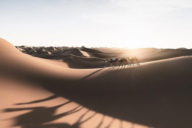 Fes To Marrakech: 3-Day Desert Tour - The Sum Up