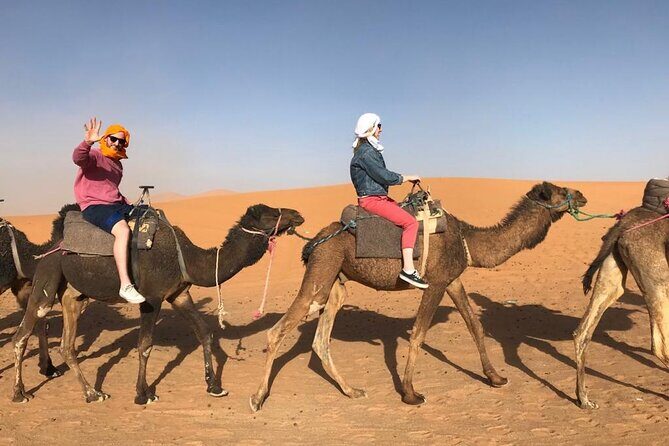 Fes To Marrakech : 3 Days Tour Via The Desert Of Merzouga & Camel - Notable Highlights from Reviews